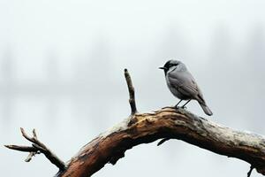 un gris pájaro se sienta en un árbol rama en frente de un lago generativo ai foto