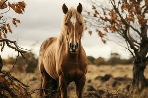 a horse is standing in the middle of a field generative ai photo