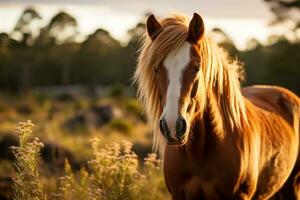 a horse with long hair standing in a field generative ai photo