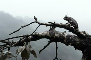 a lizard sitting on top of a dead tree branch generative ai photo