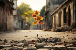 a lone tree stands in the middle of an empty street generative ai photo