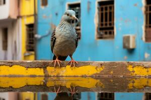 a reflection of a bird on a wall generative ai photo