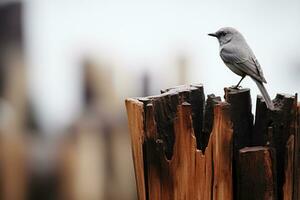 un pequeño pájaro es encaramado en parte superior de un pedazo de madera generativo ai foto