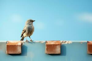 un pequeño pájaro es en pie en parte superior de un ladrillo pared generativo ai foto