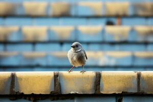 un pequeño pájaro es en pie en parte superior de un ladrillo pared generativo ai foto