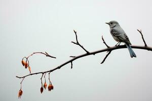 a small bird sits on a branch in front of a foggy sky generative ai photo