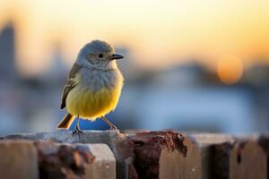 a small bird perched on top of a brick wall generative ai photo