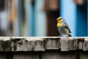 a small bird sitting on a ledge in front of a building generative ai photo