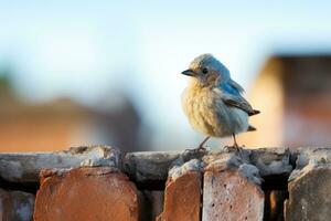 a small bird sitting on top of a brick wall generative ai photo