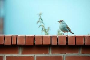 a small bird sitting on top of a brick wall generative ai photo