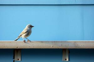 a small bird standing on a ledge against a blue wall generative ai photo