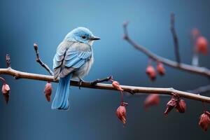 un pequeño azul pájaro se sienta en un rama generativo ai foto