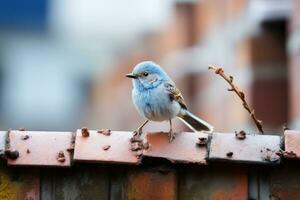 a small blue bird sitting on top of a brick wall generative ai photo