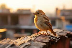 a small brown bird sitting on top of a piece of wood generative ai photo