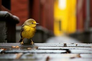 a small yellow bird standing on a brick walkway generative ai photo
