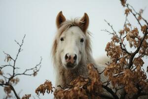 a white horse is looking at the camera in a tree generative ai photo