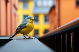 a yellow and blue bird sitting on a railing generative ai photo