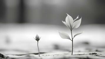 a black and white photo of a plant growing out of the ground generative ai