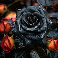 a black rose with water droplets on it generative ai photo