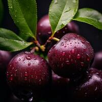 a bunch of cherries with water droplets on them generative ai photo