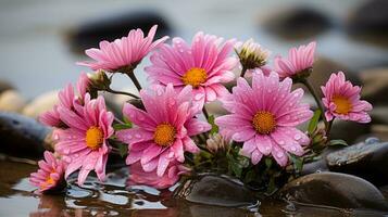 un manojo de rosado flores en el agua generativo ai foto