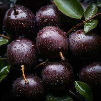 a bunch of plums with water droplets on them generative ai photo