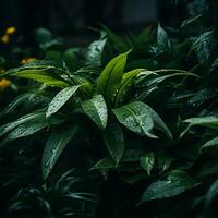 a close up of a plant with water droplets on it generative ai photo