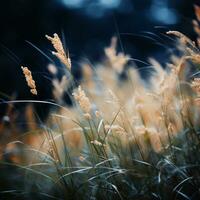 a close up of some tall grass in a field generative ai photo