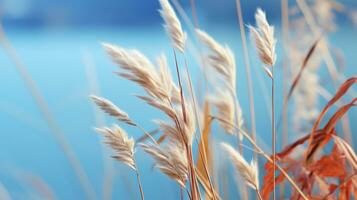 a close up of some tall grass in front of a lake generative ai photo