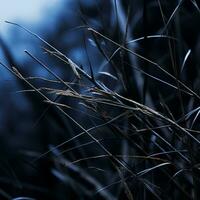 a close up of some tall grass with a blue sky in the background generative ai photo