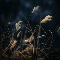 a field of tall grasses with a dark sky in the background generative ai photo
