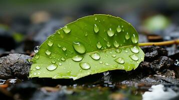 a green leaf with water droplets on it generative ai photo