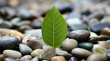 a green leaf sits on top of a pile of rocks and pebbles generative ai photo