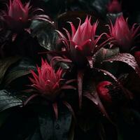 a group of red flowers on a dark background generative ai photo