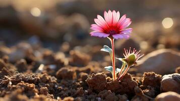 un rosado flor es creciente fuera de el suelo generativo ai foto