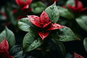 a red flower with water droplets on it generative ai photo