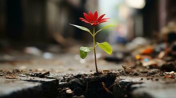 a red flower growing out of a crack in the ground generative ai photo