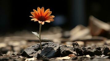 a single orange flower growing out of the ground generative ai photo