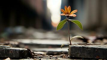 un soltero naranja flor creciente fuera de un grieta en el suelo generativo ai foto