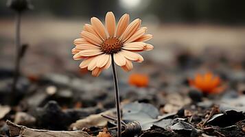 a single orange flower is standing out in the middle of a field generative ai photo