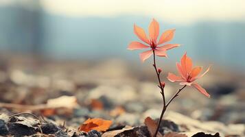 a single red flower growing out of the ground in the middle of a field generative ai photo