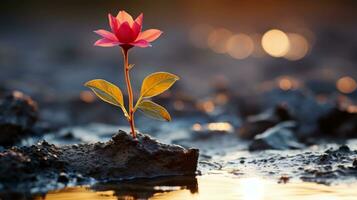 a single red flower is growing out of the mud generative ai photo