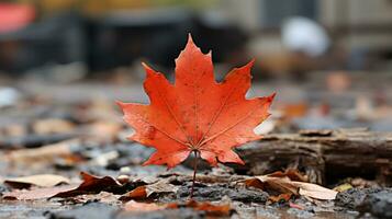 a single red maple leaf on the ground generative ai photo