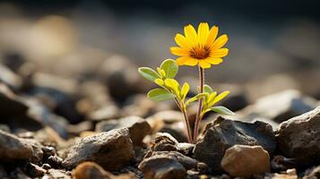 a single yellow flower is growing out of the ground generative ai photo