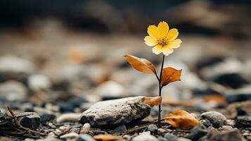 a single yellow flower is growing out of the ground generative ai photo