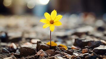 a single yellow flower is growing out of the ground generative ai photo