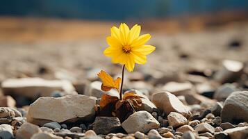 a single yellow flower is growing out of the ground generative ai photo