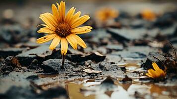 a single yellow flower stands out in the mud generative ai photo
