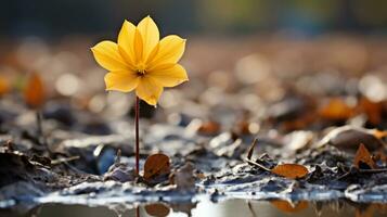 a single yellow flower stands out in the mud generative ai photo