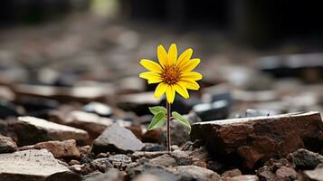 a single yellow sunflower is growing out of the ground generative ai photo